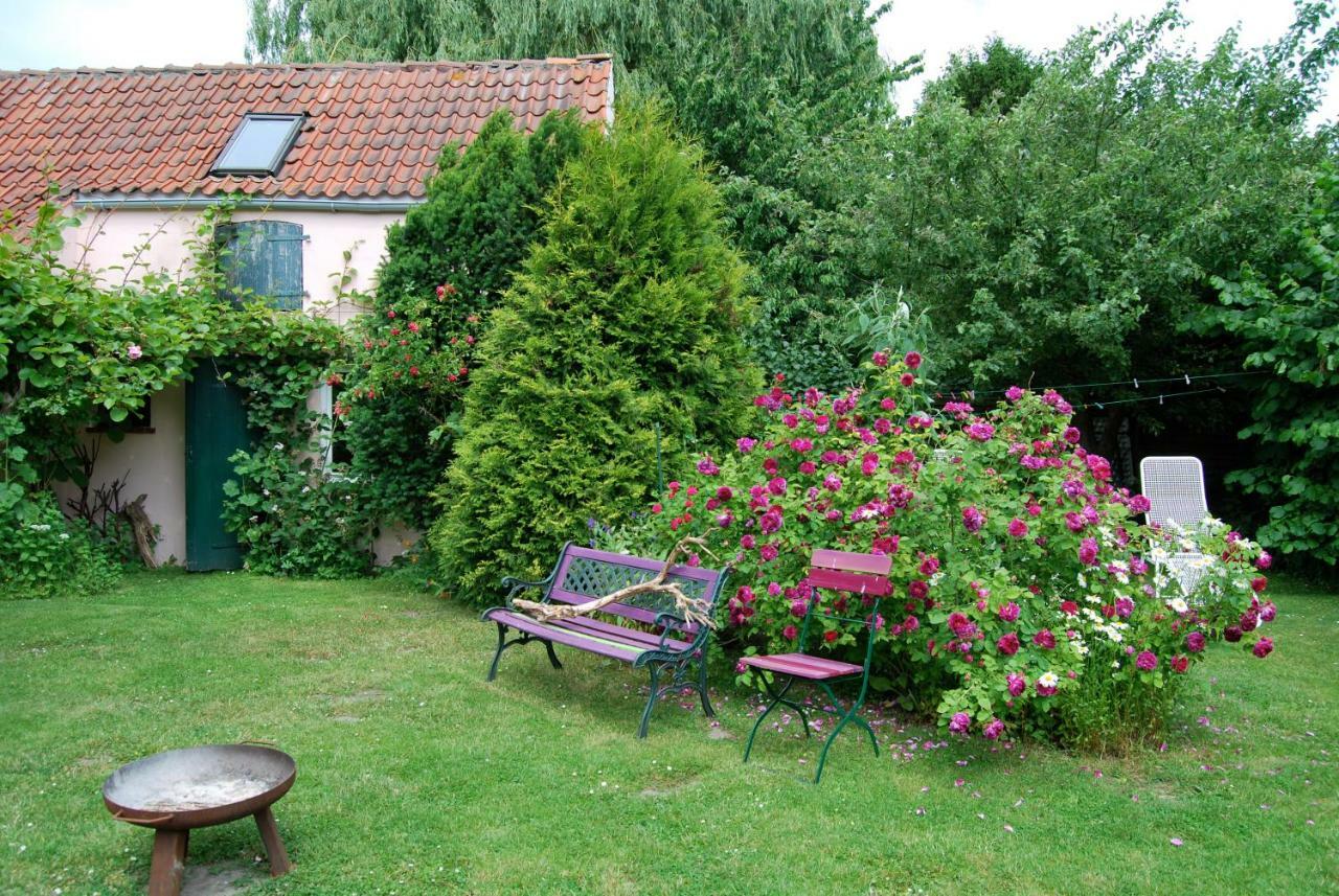 Appartement Rittersporn à Cismar Extérieur photo