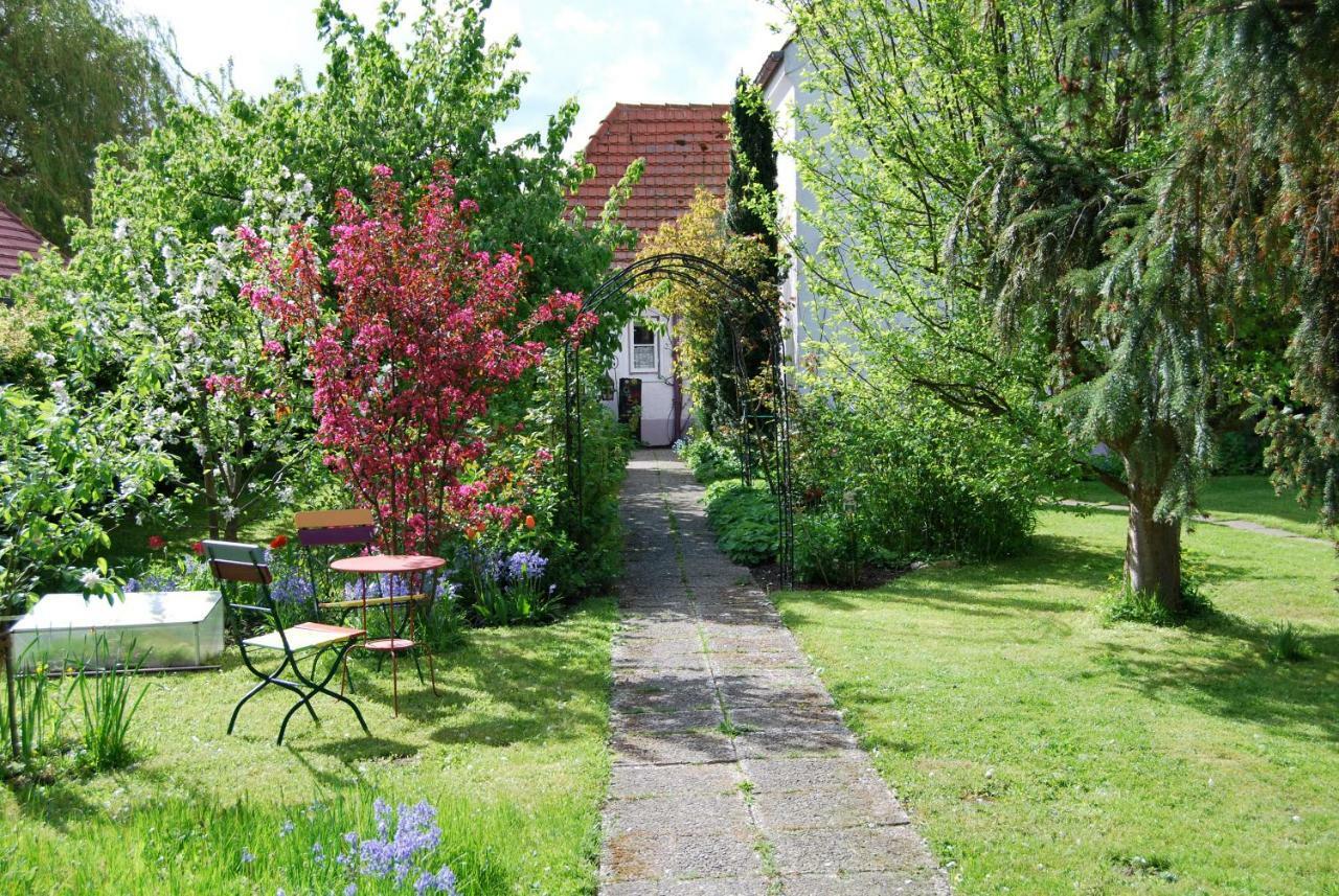 Appartement Rittersporn à Cismar Extérieur photo